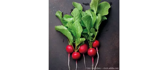 ROTES OBST & GEMüSE!