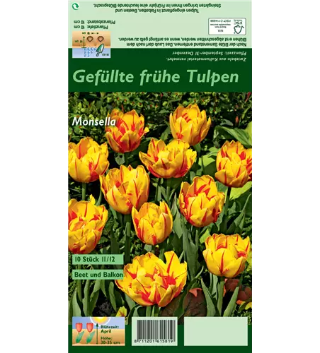 Gefüllte frühe Tulpe 'Monsella'