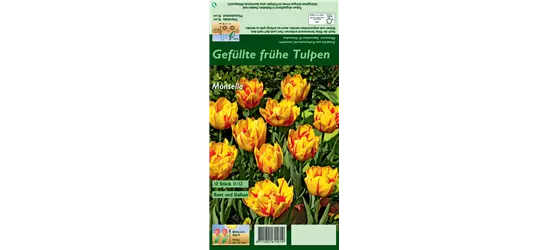 Gefüllte frühe Tulpe 'Monsella'