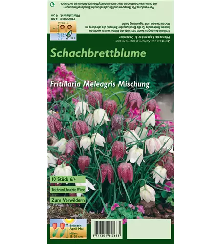 Gewöhnliche Schachblume