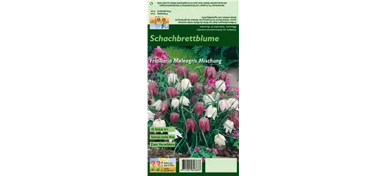 Gewöhnliche Schachblume