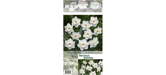 Großkronige Narzisse 'Stainless'