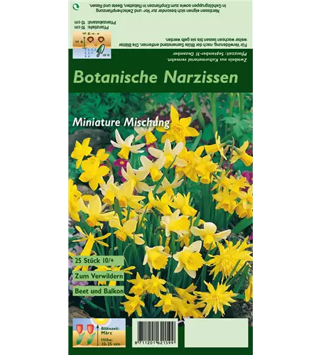 Narzisse 'Botanische Mischung'
