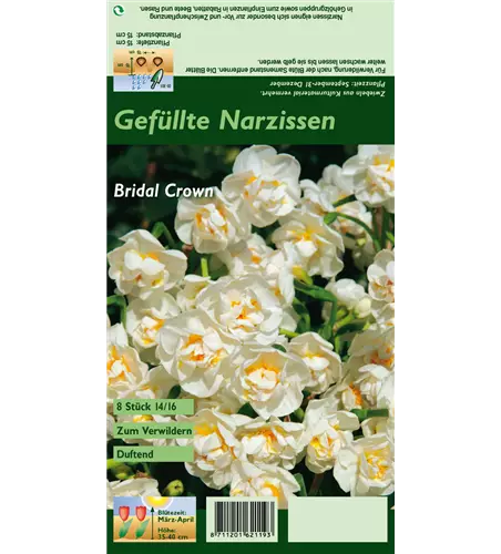 Narzisse 'Bridal Crown'