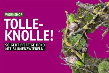 Tolle Knolle - So geht pfiffige Deko mit Blumenzwiebeln