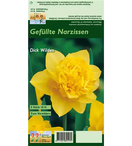 Narzisse 'Dick Wilden'
