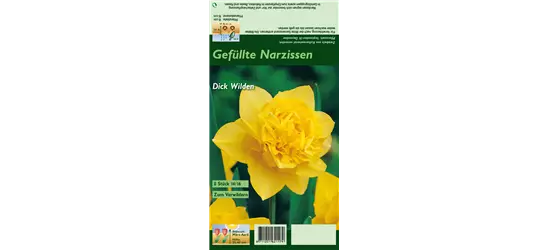 Narzisse 'Dick Wilden'