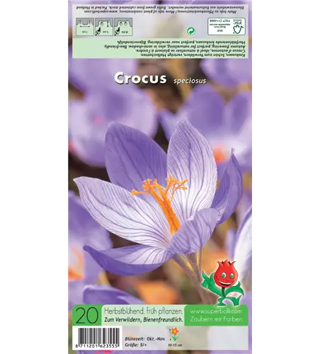 Pracht-Herbst-Krokus