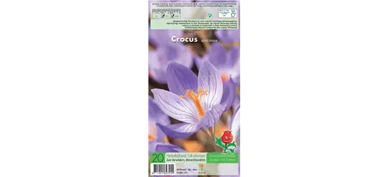 Pracht-Herbst-Krokus