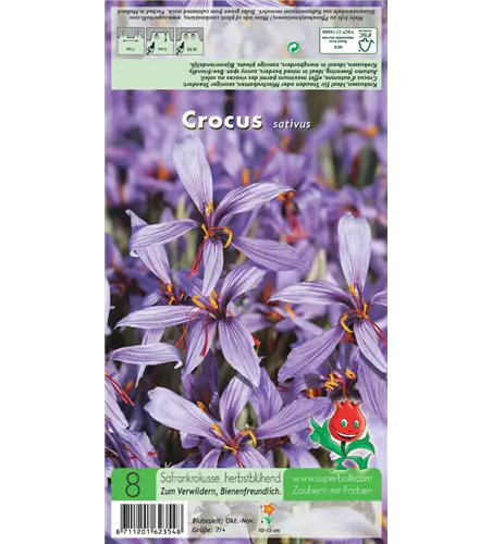Safran-Krokus