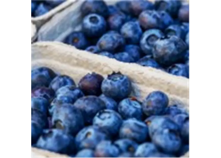Heidelbeeren Schale