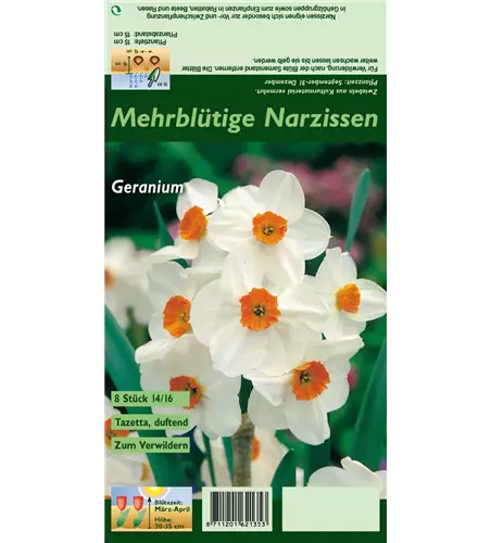 Tazetten-Narzisse 'Geranium'