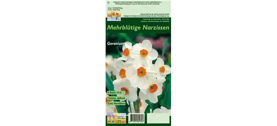 Tazetten-Narzisse 'Geranium'