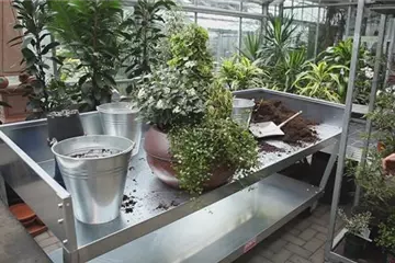 Blumenkübel - Dauerhafte Bepflanzung Blumenkübel - Dauerhafte Bepflanzung