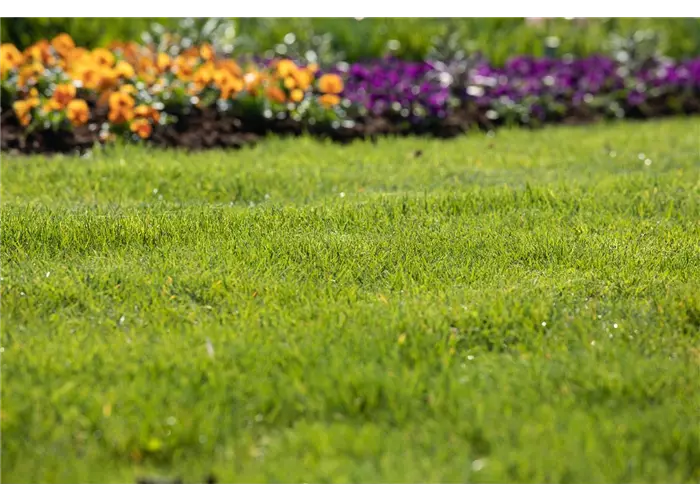 Rasenerden Rasenerden