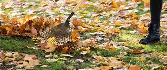 Nachhaltiger Pflanzenschutz für ein gesundes Grün im Garten