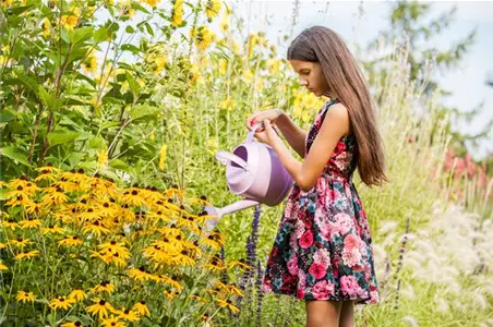 Pflanzen gießen im Sommer – so machen Sie es richtig!