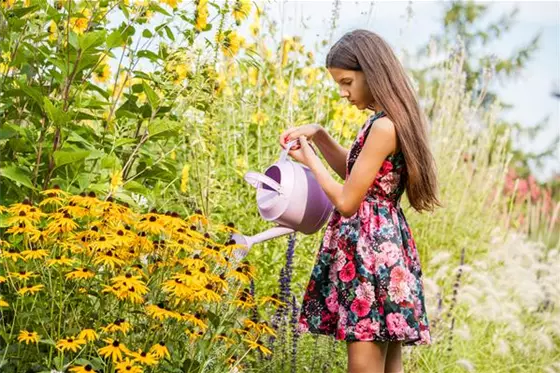Pflanzen gießen im Sommer – so machen Sie es richtig!