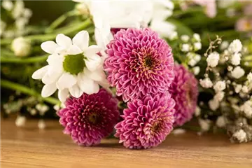 Was Sie mit Schnittblumen sagen können