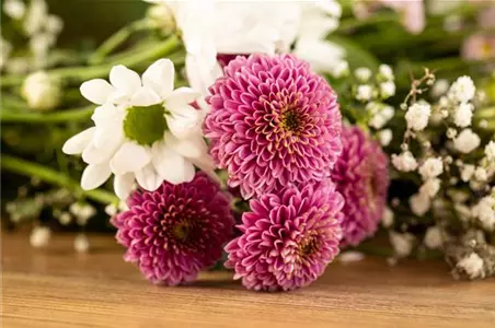 Was Sie mit Schnittblumen sagen können