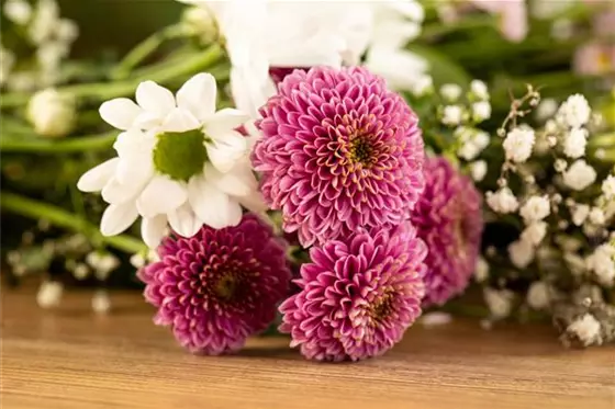 Was Sie mit Schnittblumen sagen können