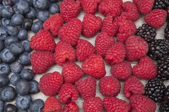 Zeit für Beerenobst – Frische und Geschmack aus dem Garten