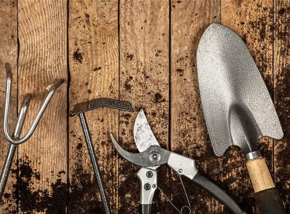 Gartenbedarf - Die besten Helferlein im Shop Gartenbedarf - Die besten Helferlein im Shop