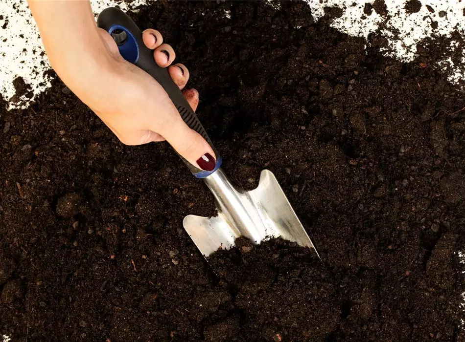 Blumenerden - Die passende Grundlage für Ihre Pflanzen