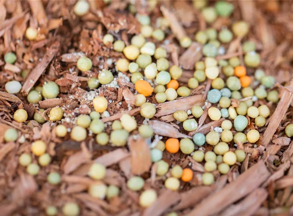 Dünger - Wichtige Nährstoffe für gesunde Pflanzen