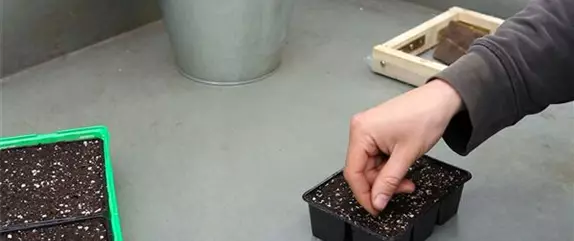 TO-DO'S IM OKTOBER TO-DO'S IM OKTOBER