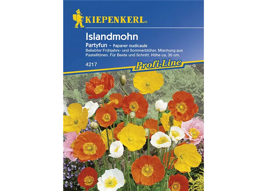Papaver n. Partyfun