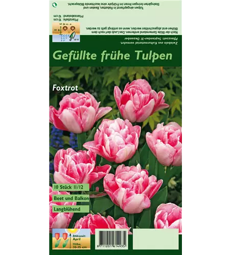 Gefüllte Tulpe 'Foxtrot'