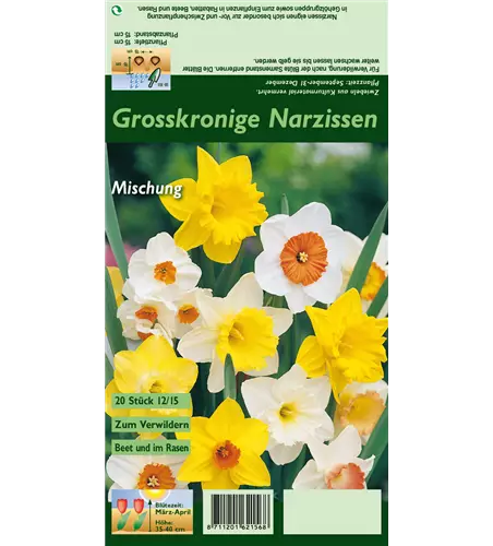 Großkronige Narzisse