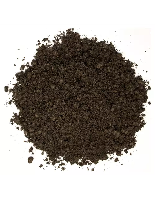 Floragard Teicherde