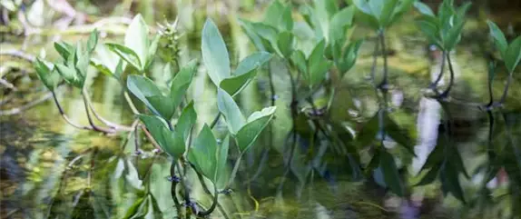 TO-DO'S IM OKTOBER TO-DO'S IM OKTOBER