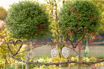 LECKERBISSEN FüR VöGEL LECKERBISSEN FüR VöGEL