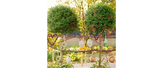 LECKERBISSEN FüR VöGEL LECKERBISSEN FüR VöGEL