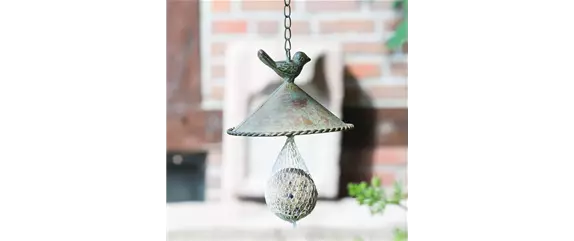 LECKERBISSEN FüR VöGEL LECKERBISSEN FüR VöGEL