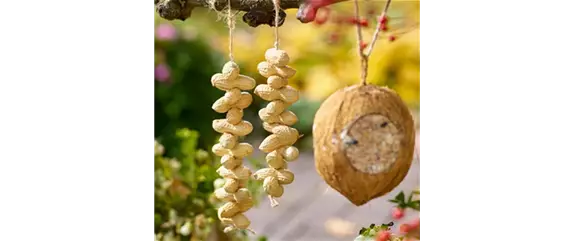 LECKERBISSEN FüR VöGEL LECKERBISSEN FüR VöGEL