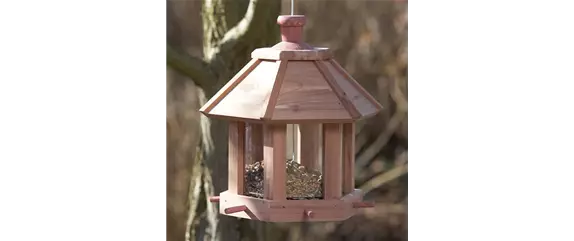 LECKERBISSEN FüR VöGEL LECKERBISSEN FüR VöGEL