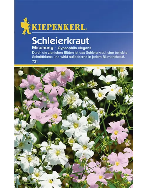 Gypsophila Mischung