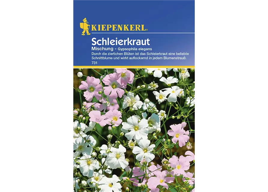 Gypsophila Mischung
