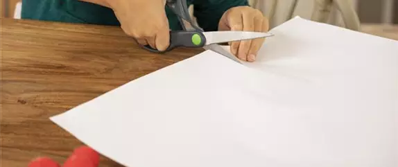 Weihnachtskarten gestalten