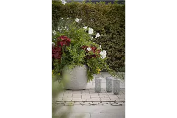 KüBEL WINTERFEST MACHEN KüBEL WINTERFEST MACHEN