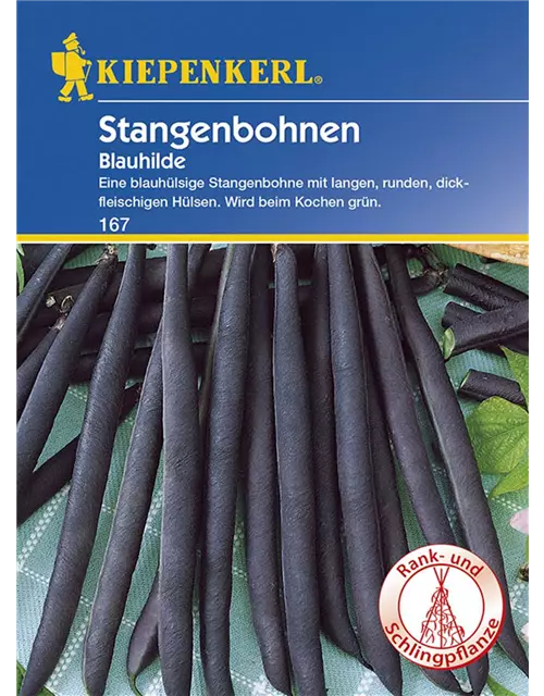 Stangenbohne Blauhilde