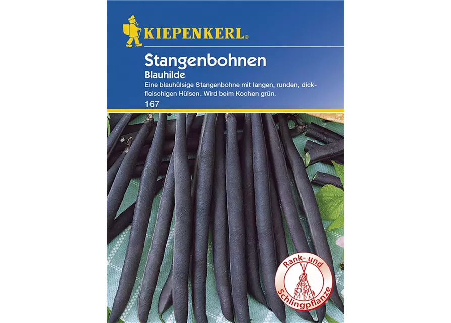 Stangenbohne Blauhilde