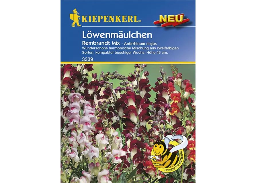 Löwenmäulchen Rembrandt Mix