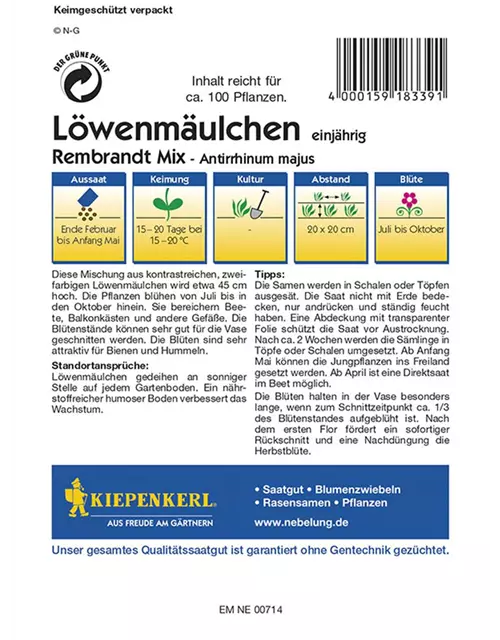Löwenmäulchen Rembrandt Mix