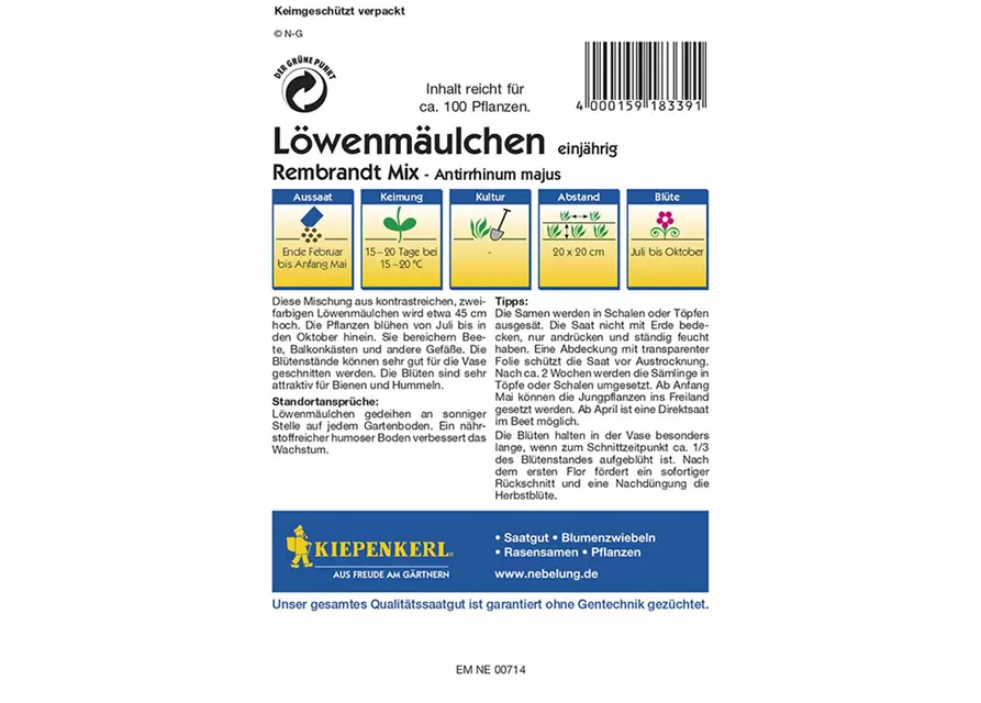 Löwenmäulchen Rembrandt Mix