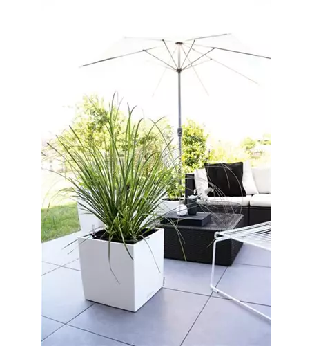 LECHUZA CUBE Premium 50 